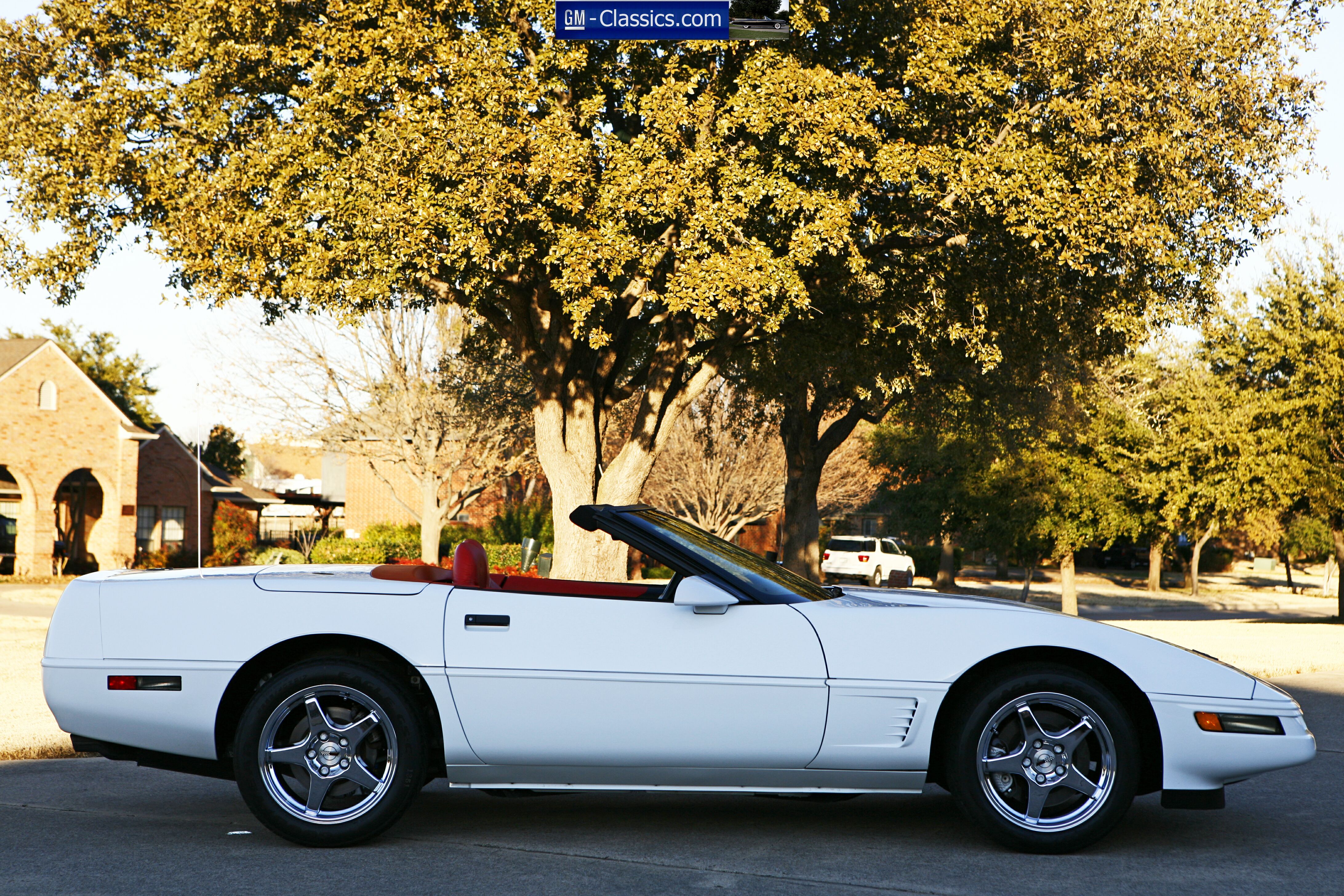 1996 Corvette Convertible - Matt Garrett